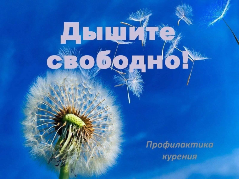 Дыши легко!.